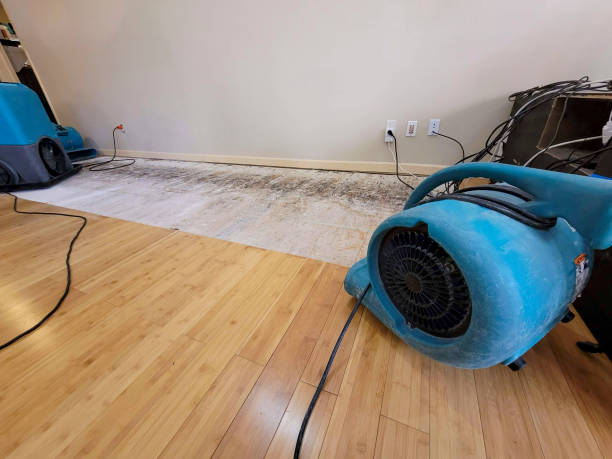 Professional Ceiling Water Damage Repair technician working in Metamora, IN